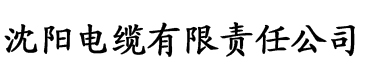 玖玖爱在线国产线观电缆厂logo